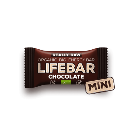 Lifebar mini raw chocolate